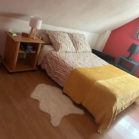 Chambre D Hote Maison Privee Kingersheim エクステリア 写真